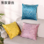 Amazon Netherlands Velvet Pillow Cover Solid Color Bronzing Home Fabric Craft Pillow Sofa Cushion Flannel Pillow Cross-Border