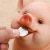 Piggy Coin Bank Dog Coin Bank Children Saving Box Household Goods Cake Ornaments Piggy Bank