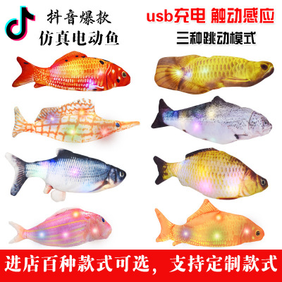 Cross-Border Hot Electric Fish USB Charging Simulated Fish Beating Fish Funny Cat Pet Toy Factory Direct Sales