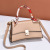 Bag 2021 Spring New Popular Net Red Fashion Handbag Simple Women's Bag Western Style Messenger Bag Stall 11802