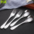 410 Stainless Steel Tableware Twelve Zodiac Series Creative Dessert Spoon Coffee Stir Spoon