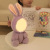 Factory Direct Creative Hug Doll Light Cartoon Cute Gift Charging Plush Doll Light Bluetooth Ambience Light