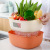 INS Style Nordic Double-Layer Drain Basket Kitchen Vegetable Washing Basket Fruit Basket Storage Basket Washing Basin Water Filter Vegetable Basket