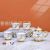Ceramic Coffee Set Coffee Cup Coffee Pot Ceramic Pot Cup and Saucer European Water Containers Gift Promotion Wedding