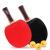 Regail, Leijiaer, Table Tennis Rackets, Inverted Rubber on Both Sides, Horizontal Straight Shot, 1035