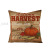 Pillow Thanksgiving Pillow Cover Pumpkin Printing Harvest Linen Cushion Cover Office Sofas Throw Pillowcase Cross-Border