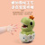 Cross-Border Cartoon Press Dinosaur Toy Car TikTok Same Promotion Back Gift Chenghai Children Stall Toy