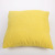 in Stock Wholesale Super Soft with Core Simple Solid Color Cushion Factory Direct Supply Simple Fashion Color Pillow