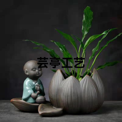 New Creative Green Plants Ceramic Flower Pot Asparagus Fern Succulent Hydroponic Pot