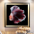 Goldfish Cloth Painting Landscape Oil Painting Decorative Painting Photo Frame Living Room Bedroom Painting Flower Painting Entrance Painting