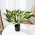 Monstera Deliciosa Guanyin Lotus Nordic Instagram Style Green Plants Living Room Floor Decoration Artificial/Fake Flower Plants