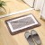 New Bathroom Absorbent Floor Mat Bathroom Anti-Slip Mats Toilet Door Mat Doormat Bedroom Carpet