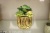 Ceramic Flower Pot Electroplating Golden Flower Pot Simulation Succulent Flower Pot Pot Vintage Hydroponic Pot Flower