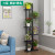 Green Dill and Bracketplant Flower Rack Living Room Bedroom Steel Wood Storage Rack Special Offer Space-Saving Iron Flow