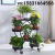 Flower Stand Iron with Wheels Floor Type Scindapsus Basin Frame Living Room Balcony Flower Rack Multi-Layer Indoor Speci