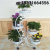 European-Style Iron Flower Stand Floor Jardiniere Multi-Layer Indoor and Outdoor Flower Stand Living Room Balcony Flower Stand Succulent Flower Stand