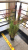 Factory shop simulation plant pots water plants onion grass home soft decoration green floral flower ornaments