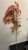 Factory store simulation plant wisteria fruit artificial flower hotel furniture will arrange soft decoration floral flow