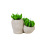 Gift Box Packaging Creative Gift Succulent Candle Ceramic Cup Pack Plant Candles Candles