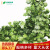 Wholesale Simulation Rattan Leaves Artificial Flower Cane Decorative Suspended Ceiling Vine Green Radish Ivy 
