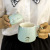 [Revo Ceramics] Macaron Color Ceramic Cup NATO Style Creative Cup Cat Breakfast Cup