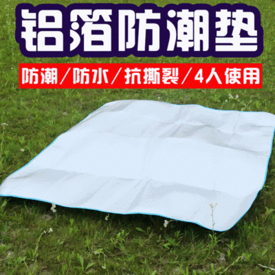 Beach Moisture Proof Pad Double-Sided Aluminium Film Tent Floor Mat Outdoor Ground Cloth Thick Aluminum Foil Picnic Camping Crawling