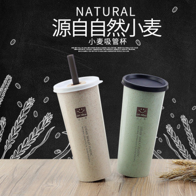 Korean Style Creative Wheat Straw Tumbler Student Milk Tea Juice Office Single Layer Box with Cover Plastic Cup with Straw