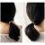 Online Influencer Head String Ins Simple Small Circle Thin Hair Rope Girl Tie Hair Elastic Rubber Band Basic Hair Ring Headdress