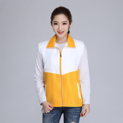 Customized Double-Layer Work Clothes Activity Volunteer Vest Printed Logo Advertising Group Vest Customized