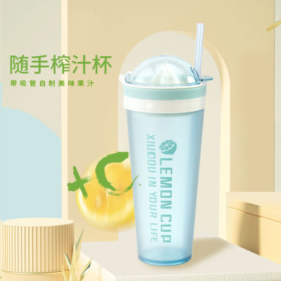 Factory Wholesale Creative Lemon Juice Cup Simple Colorful Portable Water Cup with Straw Office Transparent Cup