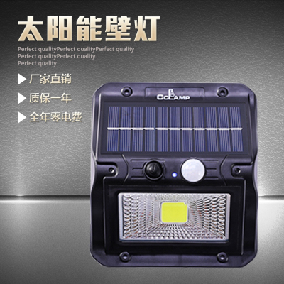 Solar Garden Lamp Rainproof Led Human Body Induction Wall Lamp Villa Orchard Path Charging Lighting