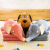 New Cartoon Soft Animal Doll Pillow Waist Rest Car Airable Cover 2-in-1 Office Nap Blanket Wholesale