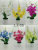 Factory Wholesale Home Simulation Phalaenopsis Silk Flower Home Decorative Floral Decorative Bonsai Support Custom Logo