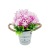 Factory Direct Supply Enear Ball Simulation Plant Potted Fake Flower Small Green Bonsai Plastic Flowers Simulation Multi-Meat Potted Plant
