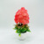 Artificial Plant Straw Ball Flower Creative Small Bonsai Artificial Fake Flower Pot Mini Pot Plant Factory Direct Supply