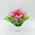 Factory Direct Sales Pu Single Mini Common Calla Simulation Fake Flower Pot Wholesale High-End Wedding Home Furnishing Ornamental Flower