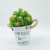 Artificial Plant Water Plants Small Flower Hemp Rope Iron Bucket Potted Home Decoration Fake Floriculture Creative Gift Decoration Wholesale