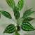 Artificial Plant Indoor Greenery 9 Head 12 Head Lifestrong Peacock Leaf Horseshoe Leaf Monstera Feel Handle Beam Green Plant