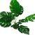 Artificial Plant Indoor Greenery 9 Head 12 Head Lifestrong Peacock Leaf Horseshoe Leaf Monstera Feel Handle Beam Green Plant