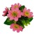 Sun Chrysanthemum Five-Head Artificial Flower African Chrysanthemum Daisy Photo Props Plastic Flowers Home Decoration Factory Wholesale