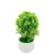 Creative Personalized Desk Living Room Decoration Simulation Green Plant Craft Fake Flower Plants Decoration Factory Direct Supply
