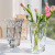 Spanish Style Handmade Flower Arrangement Glass Vase Nordic Style Transparent Living Room Decoration Modern Minimalist Hydroponic