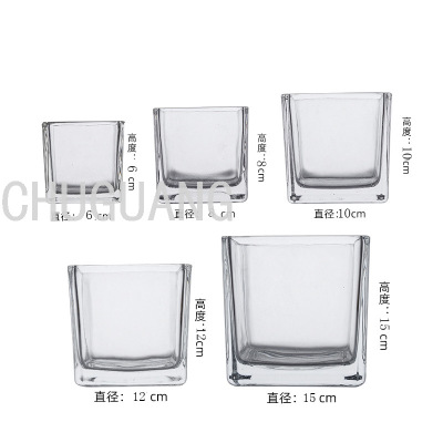 Transparent Glass Square VAT Crystal Vase New Green Dill Hydroponics Flower Arrangement Decoration Hydroponic Vase Decoration Spot Supply