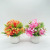 Emulational Flower and Grass Plant Indoor Table Decoration Home Greenery Decoration Plastic Bonsai Factory Wholesale