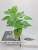 Artificial Plant Scindapsus Aureus Leaves Green Potted Fake Flower Grass Bonsai Flower Indoor and Outdoor Green Leaf Decoration Ornaments