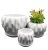 Simple European Multi-Thorn-Shaped Matte Ceramic Flower Pot with Bottom Support Indoor Desktop Large Diameter Ceramic Flower Pot Wholesale