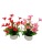 New Artificial Flower Potted Bonsai Ornaments Home Decor Floriculture Green Plant Decoration Living Room Furnishings Wholesale