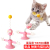 Spring Bird Cat Teasing Ball Pet Toy