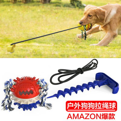 Multifunctional Sounding Molar Food Dropping Ball Elastic Rope Ball Pet Tug-of-War Toy