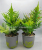 查理和巧克力: 43CM13 Leaf Artificial Tropical Plants Bunch Green Magnolia Leaf DIY Plants Wall Material For Wedding Garden Liv